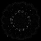 Nicole Bauer - Leben im Einklang