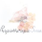 Physiotherapie Grützmacher: Physiotherapie, Yoga, CANTIENICA -Methode