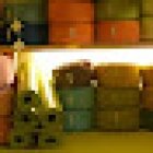 Yoga für alle | Susanne Schiller