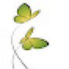 Lernkurve Nachhilfe, Coaching, Life Kinetik