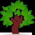 Der YOGABAUM Lembeck und Wulfen - Kathrin Meirick