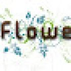 FLOWER - Yoga & Pilates Studio
