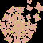 Jenny Jäckl - Schmetterlingsharmonie Pilates, Yoga, Ernährung