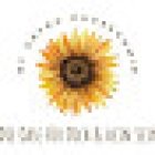 Deine Oase für Dich & Dein Sein by Petra Hausschmid