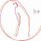 Pilates & Yoga Neviges