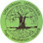 Lebensbaum-Lebensraum Yoga & Meditation