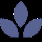 Achtsamkeitswerkstatt Münster // MBSR // Yoga // Angelika Hauft