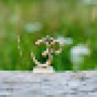 Yoga & Familien Werkstatt