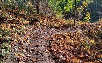 Lossen MTB spor