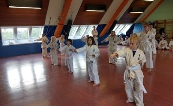 BSKarate.dk - Karate Club