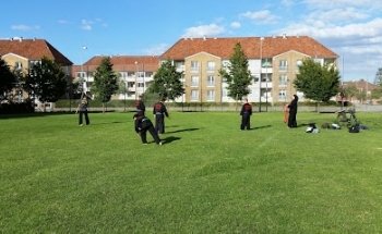 Shinson Hapkido Hvidovre