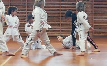 Greve Kyokushin