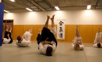 Toitsu - Ki og Aikido Dojo Gladsaxe