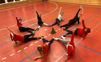 Himmelev Veddelev Gymnastik- Forening