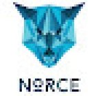 Norce Performance