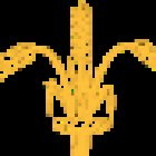 Skjørringe Yoga Studio