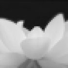 Heart Yoga by Lone Reinevald Broch