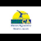 Grupo de Capoeira Ginga