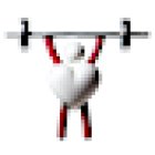 Vig Fysioterapi og Fitness