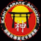 Kami Karate Academy
