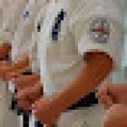 Den Danske Karateskole