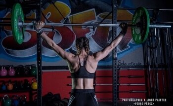 MonkeyBox Chinchilla