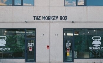 The Monkey BOX