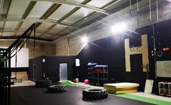 Iron bully training box