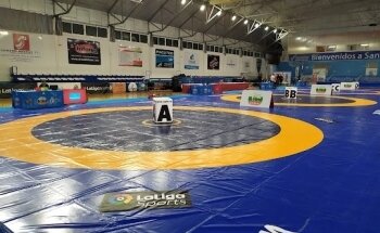 Pabellon Municipal Príncipe de Asturias