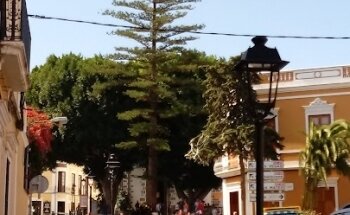 Pabellón El Mercadillo