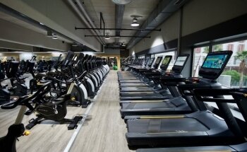 DUIN Cotxeres Borbó