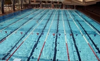 Club Natació Terrassa