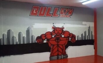 Bull Gym Center