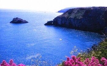 ArrigoYoga - Escuelas de Yoga Sanatana Dharma