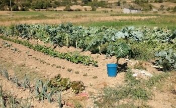 Piscinas Noceda Del Bierzo