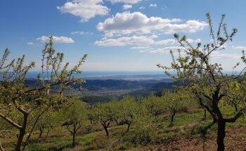 Club Deportivo Peri Esport