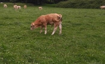 Abraham Olano Kiroldegia