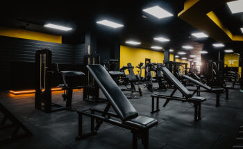 Zenith Training