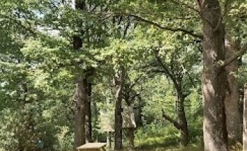 Piscinas Municipales de Verano - Complejo Deportivo Dantzaleku