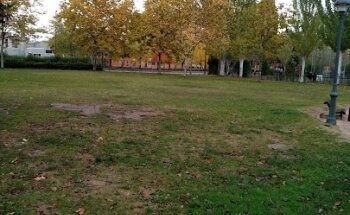 UD Sur Felicisimo La Fuente