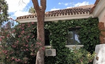 Sociedad Tiro De Pichón