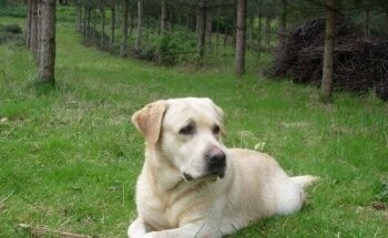 Soluna Pilates - Ciudad naranco