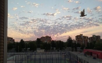 Centro Deportivo Bami