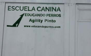Centro Canino Educando Perros. Club Agility Pinto