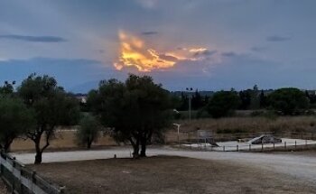 Zona Esportiva Els Pins