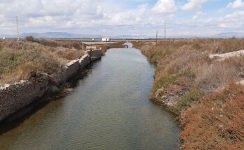 Playa la Gola salinas santa pola