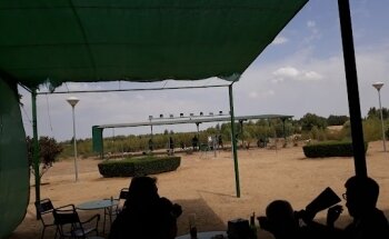 Tiro al Plato Valdelacalzada