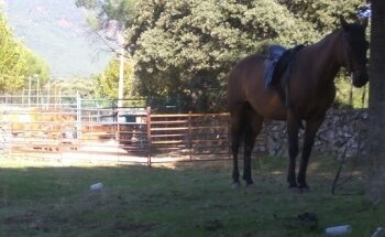 Pistas de Padel Y Tenis De La Adrada