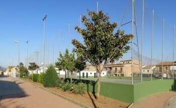 Campo de Fútbol Municipal