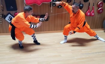 REAL CLUB ESTUDIO SHAO-LIN